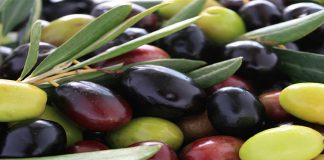 GNR detém oito suspeitos de furto de azeitona em Beja