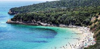 Mercado interno ‘safa’ resultados do verão no distrito