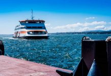 Transtejo Soflusa transportou em março cerca de 1,8 milhões de passageiros