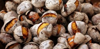 Magusto Sénior no São Martinho em Moura