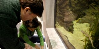 Candidaturas abertas para Prémio Fluviário de Mora – Jovem Cientista do Ano