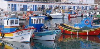 GAL Costeiro da ADREPES marca pontos na criação de emprego