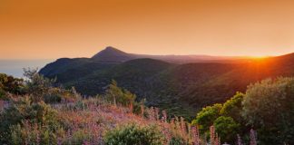 Segundo Arrábida Walking Festival agendado para março