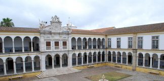 UÉ lidera projeto para conservar zimbrais dunares no país