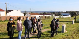 Município de Viana do Alentejo atribui novos lotes nas hortas comunitárias