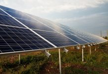 Plataforma teme “via verde” para megacentrais solares em Santiago do Cacém
