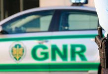 Apreendido em Grândola combustível alegadamente associado ao tráfico de droga