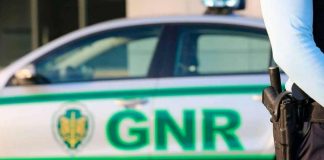 Três homens detidos em flagrante por furto de cortiça em Palmela