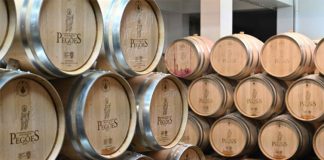 Vinhos de Pegões brilham em França