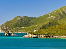 Setúbal recebe palestra “Microplásticos na água, fundo e peixes do Mar da Arrábida”