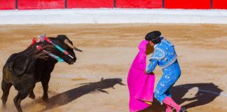 Concelho da Moita celebra este mês Dia da Tauromaquia