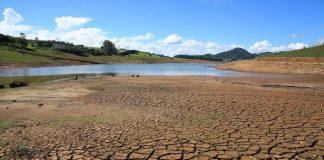 Agricultores do Campo Branco pedem ajuda financeira “urgente”