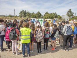 Município de Palmela dinamiza limpeza de resíduos abandonados