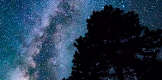 Workshop “Noite de Estrelas” no Forte de São Filipe