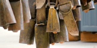 Viana do Alentejo promove Feira do Chocalho em Alcáçovas