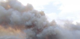 Álvaro Amaro espera publicação governamental para recuperação de área ardida