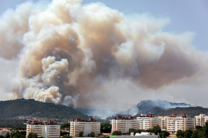 Crédito fotográfico: Rui David