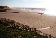 Quercus questiona Governo sobre reposição do acesso livre às praias de Grândola