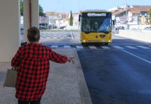 Carris Metropolitana registou em 2025 um recorde de 194 milhões de passageiros