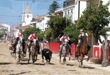 Semana das Festas do Barrete Verde e das Salinas