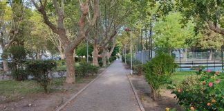 Câmara de Palmela lança concurso para a 2.ª fase do Jardim José Maria dos Santos