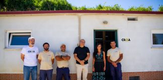 Centro de Recolha Oficial de Animais de Palmela tem novo espaço para gatil