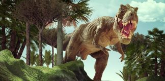 Dinossauros chegam ao Alegro Setúbal