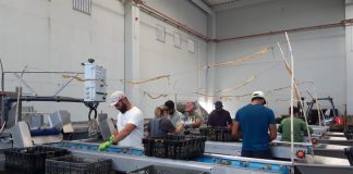 Visita à Exporsado marca arranque de encontros promovidos pela SEDES