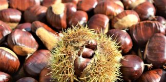 Feira da Castanha em Marvão acontece este fim-de-semana