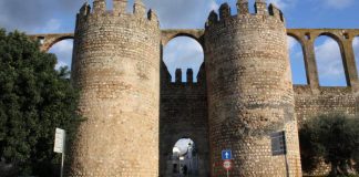 Dois recintos de fossos pré-históricos descobertos por investigação em Serpa