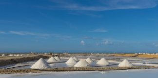Zero e Quercus torcem nariz a dessalinizadoras no Litoral