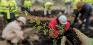 Lisnave cria ilha de biodiversidade