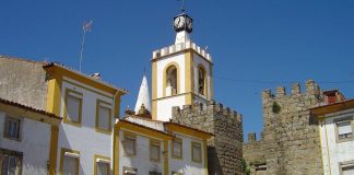 Nisa perde mais de um quinto da população em 10 anos