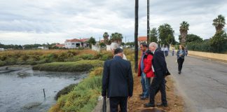 Reportada nova descarga ilegal na zona da Mourisca