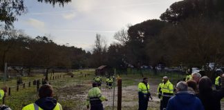 Retiradas vedações que impediam acesso ao parque de merendas da Comenda