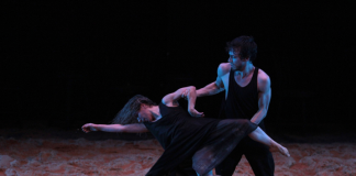 Companhia de Évora reclama envolvimento na criação de Centro Nacional de Dança