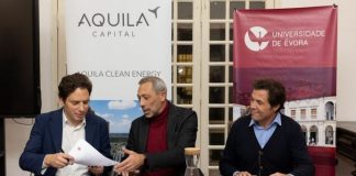 Projeto estuda produção agrícola em futura central solar de Cercal do Alentejo
