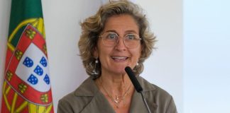 Setor social pode ser área de especialização para o Alentejo