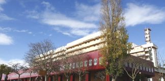 Médico Pedro Correia Azevedo nomeado para presidente da ULS Almada/Seixal