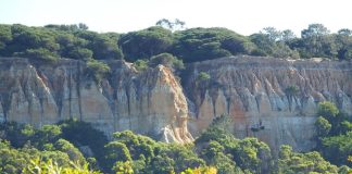Governo ordena elaboração de Programa Especial da Arriba Fóssil da Caparica