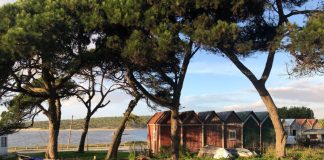 Investimento de 600 mil euros para requalificar Lagoa de Albufeira