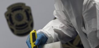 PJ realiza a maior apreensão de cocaína dos últimos anos no porto de Setúbal
