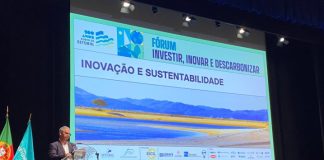 Porto de Setúbal quer ser “hub” de inovação ambiental, tecnológica e energética