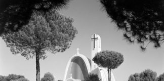 Colonato de Pegões vai ser classificado pela Direção Geral do Património Cultural