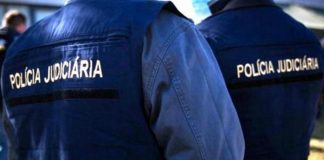 PJ apreende mais de duas toneladas de folhas de canábis em Grândola