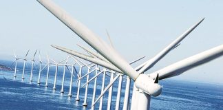 Sines vai “continuar a trabalhar” no projeto de instalação de eólicas offshore