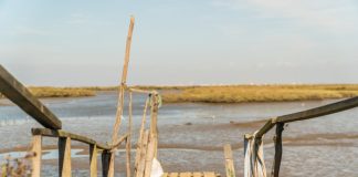 Projeto une Grândola e artistas em torno do ambiente e sustentabilidade