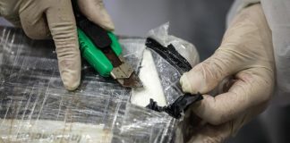 Autoridade Tributária e Aduaneira apreende 264 quilos de cocaína no Porto de Sines