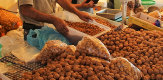 Feira Nova de Outubro até domingo em Alcácer do Sal