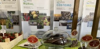 ADREPES faz “experiência social” com sucesso em zonas urbanas desfavorecidas